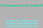 Presupuesto de Capital Costo de Capital y el modelo de Fijación de precios de Activos de Capital (CAPM)