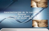 LOGO “ Add your company slogan ” Caracterización de la Lactancia Materna en niños de 6 meses de la Provincia de Salta. Año 2011.