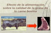 Efecto de la alimentación sobre la calidad de la grasa de la carne bovina.