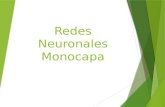 Redes Neuronales Monocapa. Redes Monocapa: l1l1 lnln l2l2 Las redes monocapa se utilizan típicamente en en tareas relacionadas en lo que se conoce como.