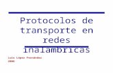 Protocolos de transporte en redes inalámbricas Luis López Fernández 2006.