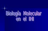 Estudios Moleculares  Hemoglobinopatías: Sicklemia  -talasemia  Hemopatías malignas.