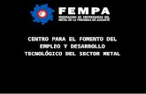 CENTRO PARA EL FOMENTO DEL EMPLEO Y DESARROLLO TECNOLÓGICO DEL SECTOR METAL.