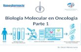 Dr. Oscar Alonso Luna 1. Temas Genes, Genómica y Cáncer – Introducción Tecnologías que están revolucionado la genómica en el tratamiento del cáncer.