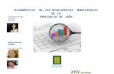 DIAGNÓSTICO DE LAS BIBLIOTECAS MUNICIPALES DE LA PROVINCIA DE JAÉN XVII Jornadas Bibliotecarios de Andalucía (Jaén, 25 octubre 2013) Coordinación del estudio,