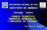 UNIVERSIDAD NACIONAL DE CUYO INSTITUTO DE ENERGIA Jornada sobre "CAMBIO CLIMÁTICO, ENERGÍAS RENOVABLES Y MERCADOS DE CARBONO" Ing Dante G. Bragoni.