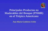 Principales Productos no Maderables del Bosque (PNMB) en el Trópico Americano Ana María Gutiérrez Uribe.