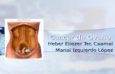 Cancer de Ovario Heber Eliezer Tec Caamal Marial Izquierdo López.