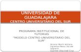 PROGRAMA INSTITUCIONAL DE TUTORIAS “MODELO CENTRO UNIVERSITARIO DEL SUR” UNIVERSIDAD DE GUADALAJARA CENTRO UNIVERSITARIO DEL SUR Alcaraz Marín Adriana.