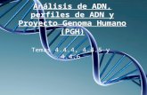 Análisis de ADN, perfiles de ADN y Proyecto Genoma Humano (PGH) Temas 4.4.4, 4.4.5 y 4.4.6.