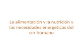 La alimentación y la nutrición y las necesidades energeticas del ser humano.