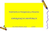 Enfermería en Emergencias y Desastres EMERGENCIA OBSTÉTRICA Prof. América Menéndez Cánepa 11/09/09.