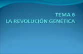 La revolución del ADN El descubrimiento por James Watson y Francis Crick, en Abril de 1953, de la estructura del ADN marcó el inicio de una nueva revolución.