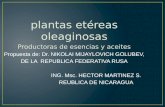 Plantas etéreas oleaginosas Productoras de esencias y aceites Propuesta de: Dr. NIKOLAI MIJAYLOVICH GOLUBEV, DE LA REPUBLICA FEDERATIVA RUSA ING. Msc.