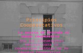 Principios Cooperatativos La puerta de Entrada al mundo cooperativo Son los lineamientos básicos para la conducción exitosa de la Empresa Cooperativa.