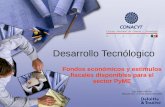 Desarrollo Tecnólogico Fondos económicos y estímulos fiscales disponibles para el sector PyME Ing. Edgar Cabrera Mexicali, B.C. a 10 de Septiembre 2002.
