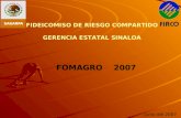 FIDEICOMISO DE RIESGO COMPARTIDO GERENCIA ESTATAL SINALOA FOMAGRO 2007 Junio del 2007.