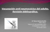 Vacunación anti neumocócica del adulto. Revisión bibliográfica. Mª Elena Jiménez Borillo MIR 4 MFyC Tutora: Mª José Monedero Mira CS Rafalafena, Castellón.