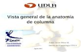 Vista general de la anatomía de columna Autor: Javier Pérez M. Interno de Kinesiologia UDLA Agosto 2011.
