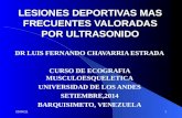 LESIONES DEPORTIVAS MAS FRECUENTES VALORADAS POR ULTRASONIDO DR LUIS FERNANDO CHAVARRIA ESTRADA CURSO DE ECOGRAFIA MUSCULOESQUELETICA UNIVERSIDAD DE LOS.