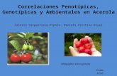 Correlaciones Fenotípicas, Genotípicas y Ambientales en Acerola Valéria Carpentiere-Pípolo, Daniela Cristina Bruel Coda, José Malpighia emarginata.
