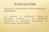 PROCESO-IMPORTANTE-PROLONGADO- IMPARABLE  La certeza o evidencia sobre el ancestro común y su derrotero evolutivo la podemos encontrar en varios tipos.