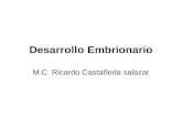 Desarrollo Embrionario M.C. Ricardo Castañeda salazar.