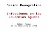 Infecciones en las Leucemias Agudas Isidro Jarque 18 de diciembre de 2008 Sesión Monográfica.