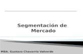 Segmentación de Mercado MBA. Gustavo Chavarría Valverde.