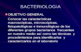 BACTERIOLOGIA OBJETIVO GENERAL Conocer las características macroscòpicas, microscópicas, fisiopatològicas e inmunológicas de los diferentes grupos bacterianos.