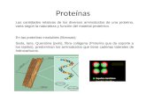 Proteínas Las cantidades relativas de los diversos aminoácidos de una proteína, varia según la naturaleza y función del material proteínico. En las proteínas.