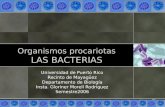 Organismos procariotas LAS BACTERIAS Universidad de Puerto Rico Recinto de Mayagüez Departamento de Biología Insta. Gloriner Morell Rodriguez Semestre2006.