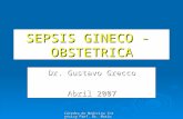 Cátedra de Medicina Intensiva Prof. Dr. Mario Cancela SEPSIS GINECO - OBSTETRICA Dr. Gustavo Grecco Abril 2007.