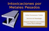 Intoxicaciones por Metales Pesados Rafael Bustamante Toledo Servicio de Neurología Hospital Regional Universitario Carlos Haya (Málaga)