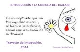 INTRODUCCIÓN A LA MEDICINA DEL TRABAJO Trayecto de integración. 2014 Docente: Noelia Fierro.