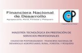 MAESTRÍA TECNOLÓGICA EN PRESTACIÓN DE SERVICIOS PROFESIONALES COLEGIO DE POSTGRADUADOS - FINANCIERA NACIONAL DE DESARROLLO AGROPECUARIO, RURAL, FORESTAL.