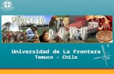 Universidad de La Frontera Temuco - Chile. Fundación Ford (FF) Fundación Ford (FF) Universidad de La Frontera Universidad de La Frontera Iniciativa Pathways.