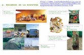 2. RECURSOS DE LA BIOSFERA Recursos alimentariosProductos útiles para la agricultura Materias primas para las industrias química y textil Materias primas.