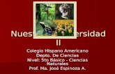 Nuestra Biodiversidad II Colegio Hispano Americano Depto. De Ciencias Nivel: 5to Básico - Ciencias Naturales Prof. Ma. José Espinoza A.