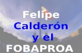 Felipe Calderón y el FOBAPROA. Es bien sabido que LA HISTORIA COLOCA A CADA QUIEN EN SU LUGAR, y Felipe Calderón no será la excepción. El tema es Felipe.
