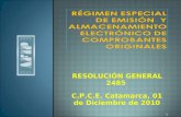 RESOLUCIÓN GENERAL 2485 1 C.P.C.E. Catamarca, 01 de Diciembre de 2010.