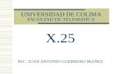 UNIVERSIDAD DE COLIMA FACULTAD DE TELEMATICA X.25 M.C. JUAN ANTONIO GUERRERO IBAÑEZ.