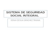 SISTEMA DE SEGURIDAD SOCIAL INTEGRAL EDNA CECILIA SÁNCHEZ TRIANA.