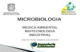 MICROBIOLOGIA MEDICA AMBIENTAL BIOTECNOLOGIA INDUSTRIAL OSCAR YESID RAMOS CALDERÓN.