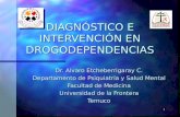 1 DIAGNÓSTICO E INTERVENCIÓN EN DROGODEPENDENCIAS Dr. Alvaro Etcheberrigaray C. Departamento de Psiquiatría y Salud Mental Facultad de Medicina Universidad.