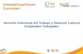 Unidad/Zcar/Ceres Curumaní Derecho Individual del Trabajo y Relación Laboral Empleador-Trabajador.