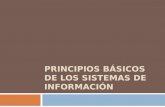 PRINCIPIOS BÁSICOS DE LOS SISTEMAS DE INFORMACIÓN.