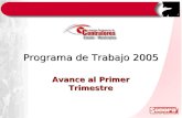 Programa de Trabajo 2005 Avance al Primer Trimestre.