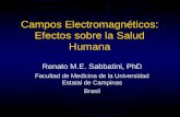 Campos Electromagnéticos: Efectos sobre la Salud Humana Renato M.E. Sabbatini, PhD Facultad de Medicina de la Universidad Estatal de Campinas Brasil.