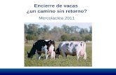Encierre de vacas ¿un camino sin retorno? Mercolactea 2011.